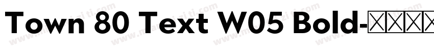 Town 80 Text W05 Bold字体转换